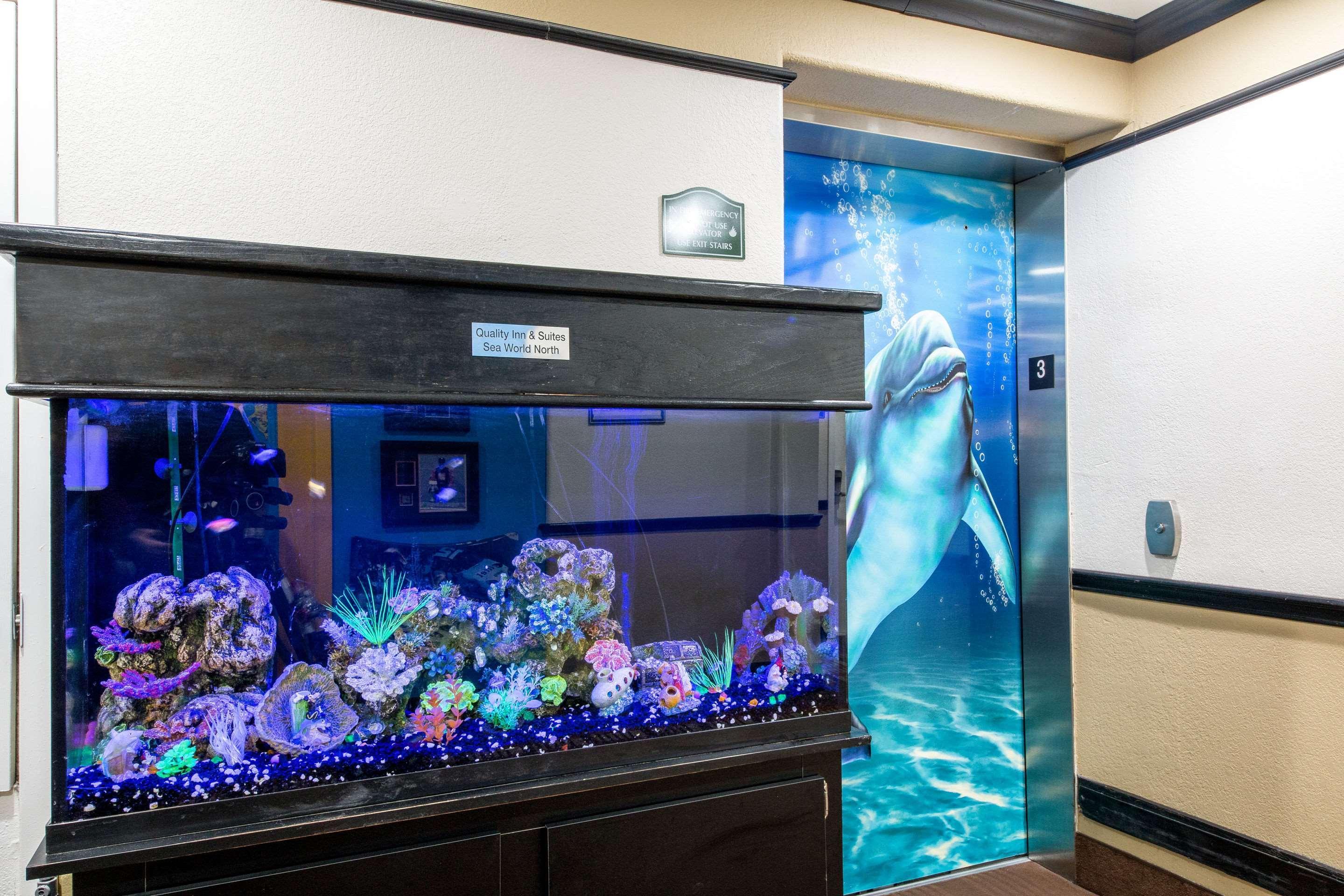 סן אנטוניו Quality Inn & Suites Seaworld North מראה חיצוני תמונה